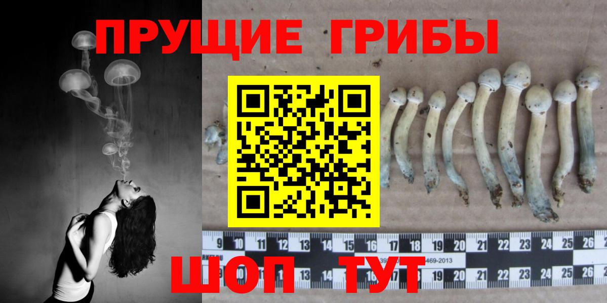 Галлюциногенные грибы GOLDEN TEACHER Верхний Уфалей